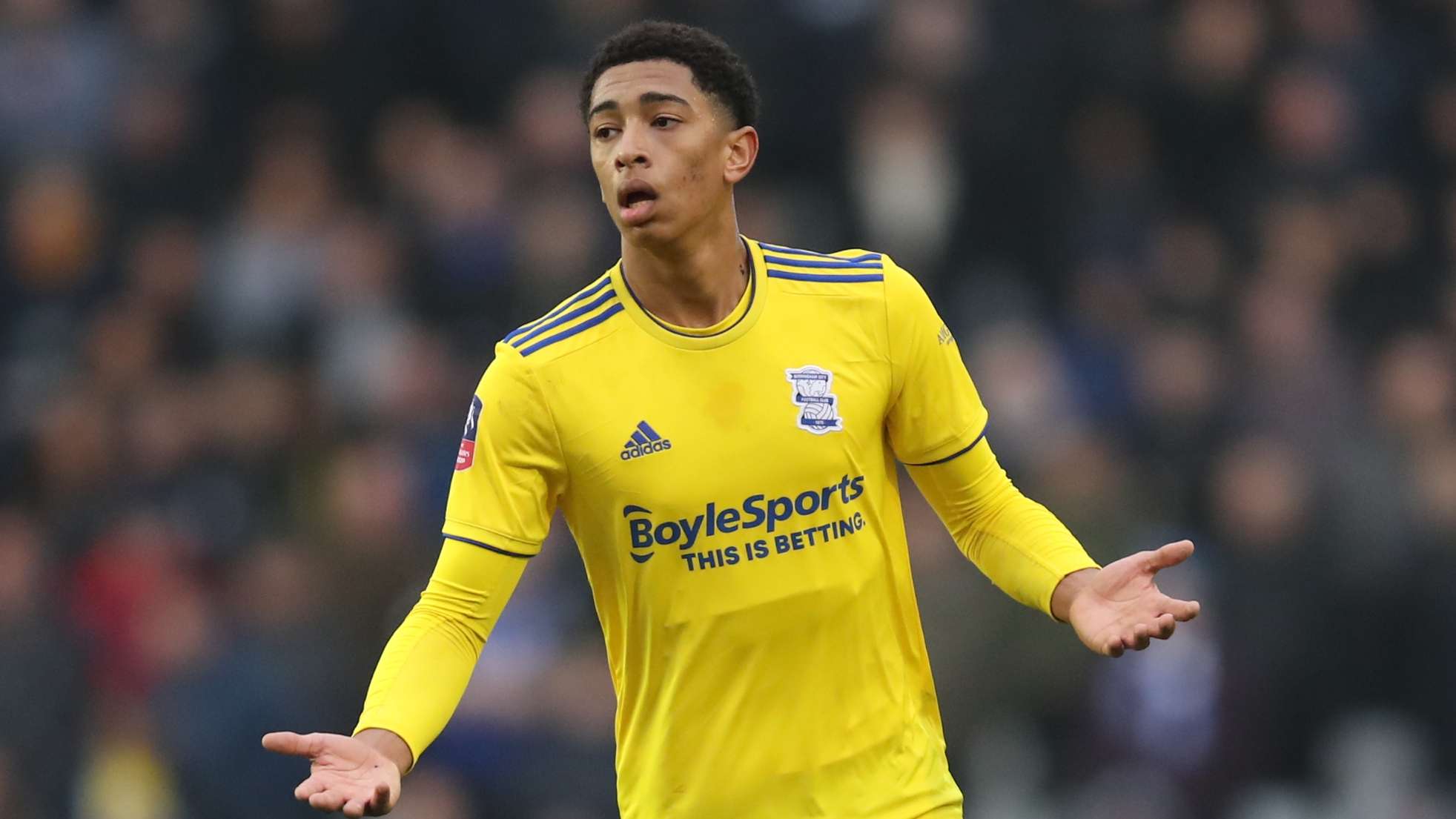 他们将陷入 他们将陷入