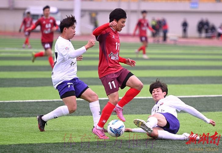 广东湛江队战胜内蒙古呼和浩特队 广东湛江队战胜内蒙古呼和浩特队