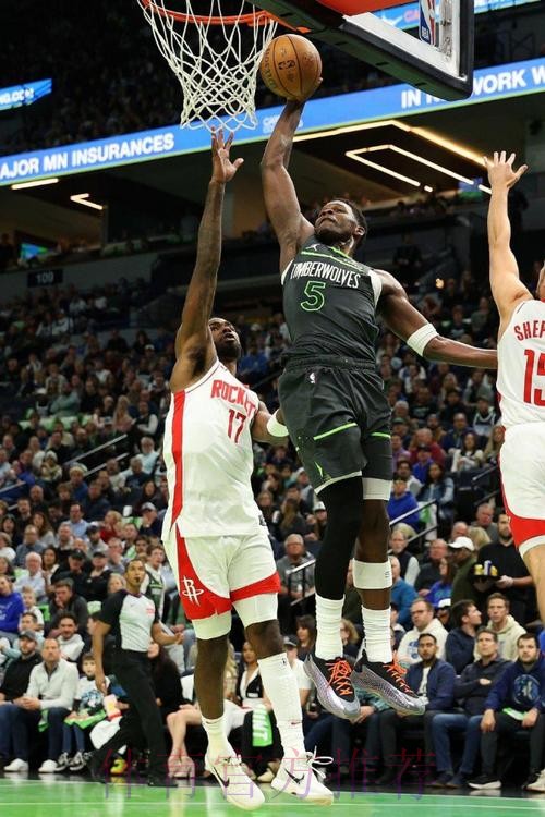 常规赛1月17日：森林狼VS火箭 里德集锦